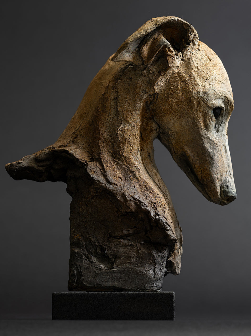 Sculpture of a contemplative dog’s head by Lucy d’Auvergne, cast in slate with raw earth pigments creating warm ochre and umber tones with deep charcoal shadows, mounted on a polished granite base.