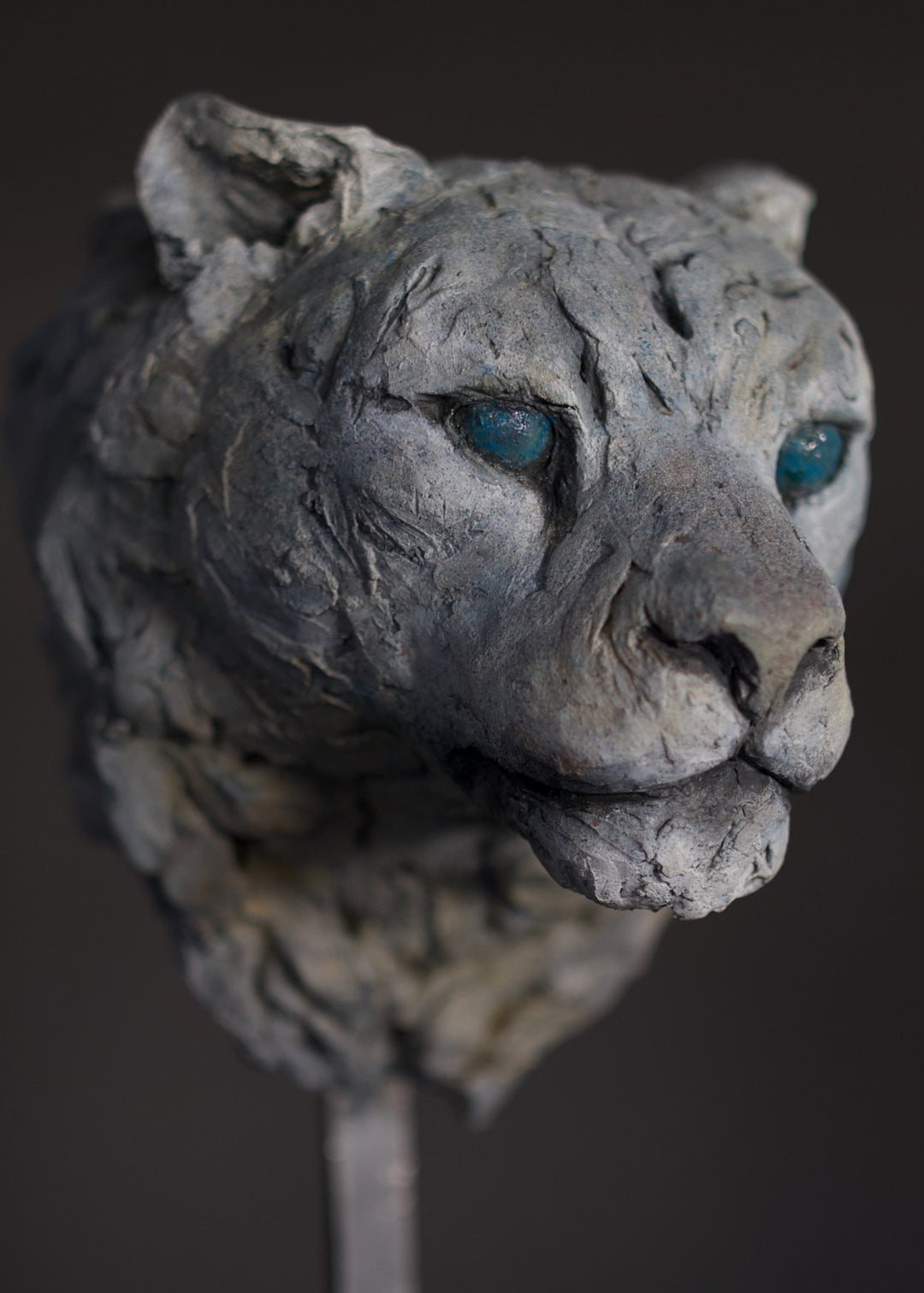 SILENT STALKER - PORTRAIT (Limited Edition of 24)