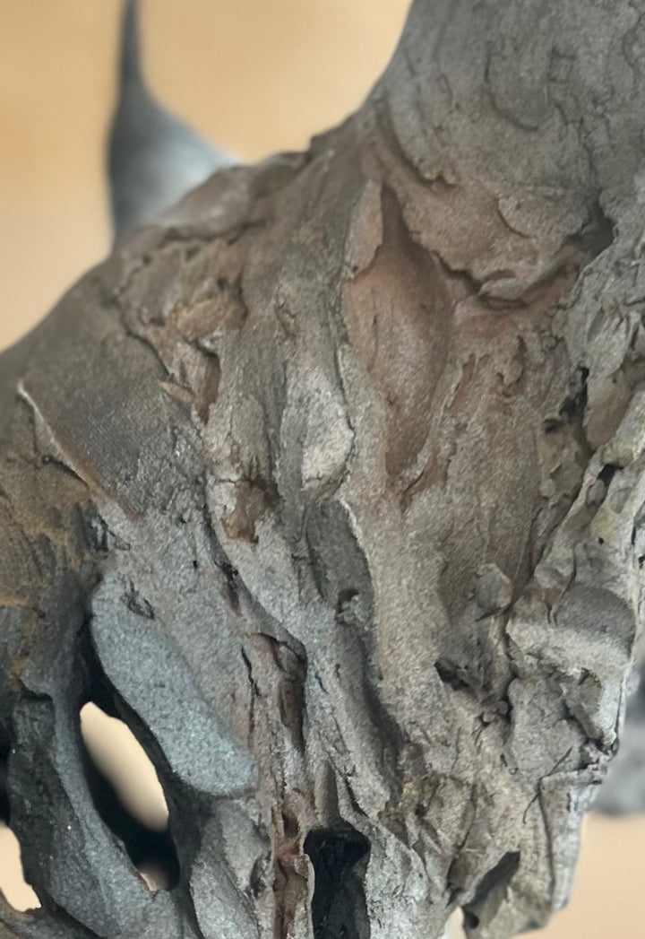 Sculpture of a Eurasian lynx head by Lucy d’Auvergne, cast in slate with raw earth pigments creating warm taupe and grey tones with subtle brown highlights, mounted on a polished granite base.