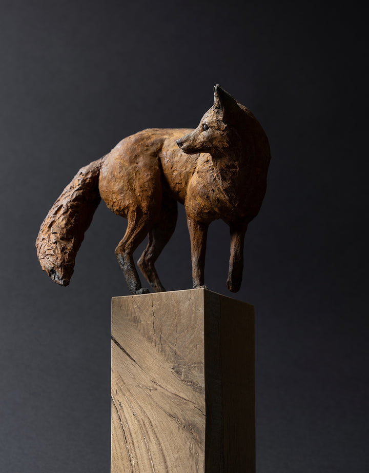 Sculpture of a young fox by Lucy d’Auvergne, cast in cold cast iron with warm earthy brown patina, shown standing alert and turning its head, mounted on a natural oak plinth.