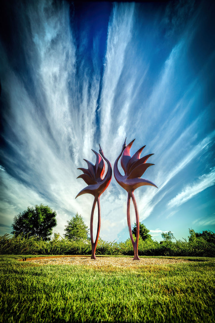 Simon Gudgeon bronze sculpture Dancing Cranes featuring elegant crane-inspired organic forms with sweeping upward curves displayed within a landscaped garden setting.