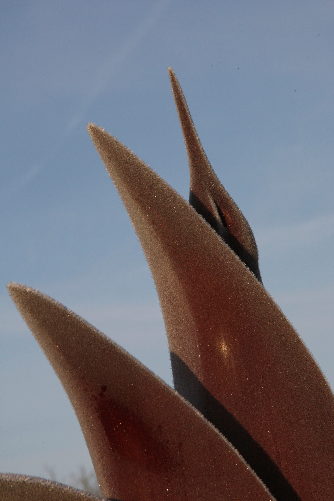 Simon Gudgeon bronze sculpture Dancing Cranes featuring elegant crane-inspired organic forms with sweeping upward curves displayed within a landscaped garden setting.