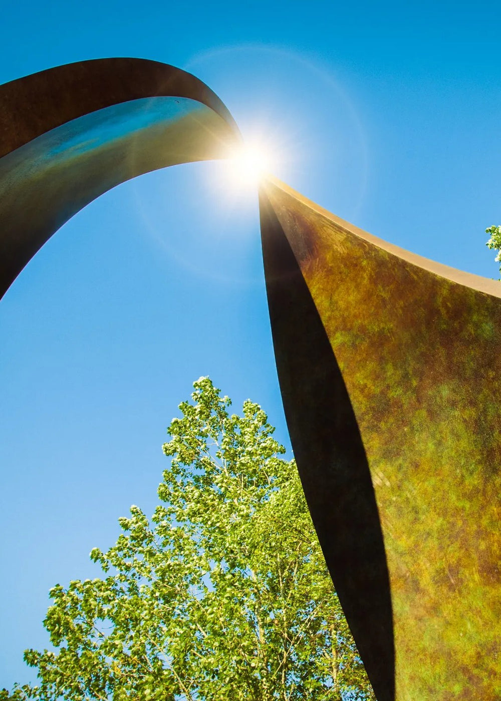 Simon Gudgeon bronze sculpture Embrace featuring monumental abstract curved bronze forms rising upwards and meeting at a central point within a landscaped garden setting.