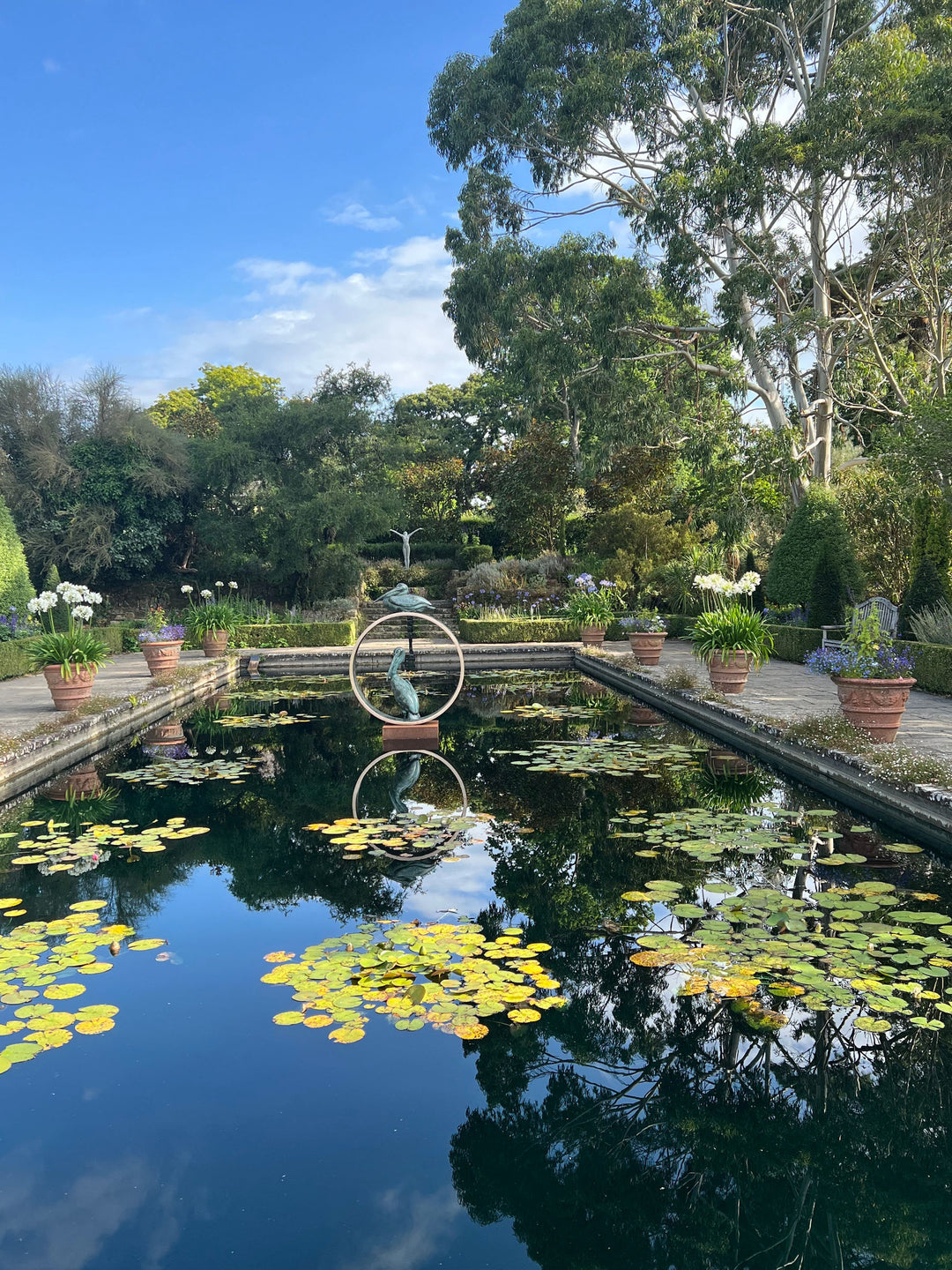 Simon Gudgeon bronze sculpture Pelicans featuring two elegant stylised pelican forms positioned around a circular contemporary bronze structure within a landscaped outdoor setting.