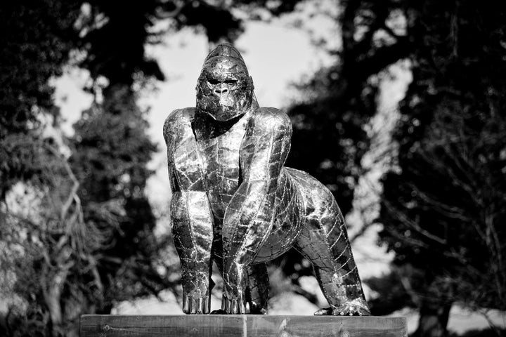 ‘Gorilla’ by Michael Turner, a unique, one-of-one stainless steel wildlife sculpture depicting a powerful silverback gorilla standing on all fours atop a large, dark wooden transport cage. Handcrafted from individually shaped and welded stainless steel panels, the sculpture features a polished silver finish, muscular shoulders, powerful limbs and intricately detailed facial features. The rustic timber cage displays bold white ‘DANGER - HANDLE WITH CARE’ lettering and a metal-barred hatch, adding humour and 