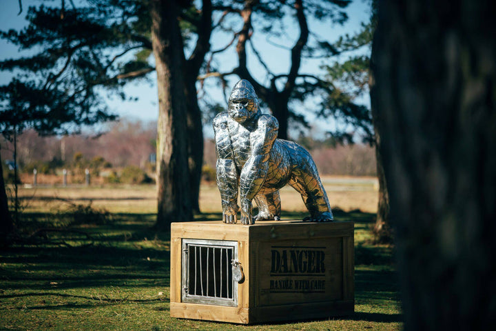 ‘Gorilla’ by Michael Turner, a unique, one-of-one stainless steel wildlife sculpture depicting a powerful silverback gorilla standing on all fours atop a large, dark wooden transport cage. Handcrafted from individually shaped and welded stainless steel panels, the sculpture features a polished silver finish, muscular shoulders, powerful limbs and intricately detailed facial features. The rustic timber cage displays bold white ‘DANGER - HANDLE WITH CARE’ lettering and a metal-barred hatch, adding humour and 