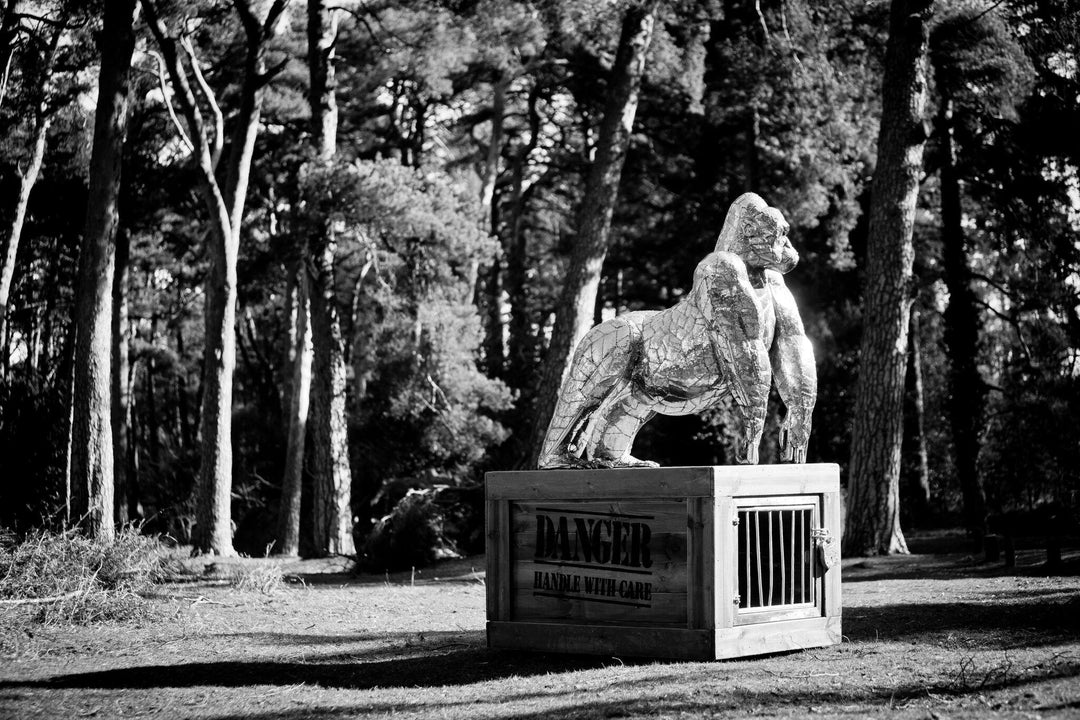 ‘Gorilla’ by Michael Turner, a unique, one-of-one stainless steel wildlife sculpture depicting a powerful silverback gorilla standing on all fours atop a large, dark wooden transport cage. Handcrafted from individually shaped and welded stainless steel panels, the sculpture features a polished silver finish, muscular shoulders, powerful limbs and intricately detailed facial features. The rustic timber cage displays bold white ‘DANGER - HANDLE WITH CARE’ lettering and a metal-barred hatch, adding humour and 