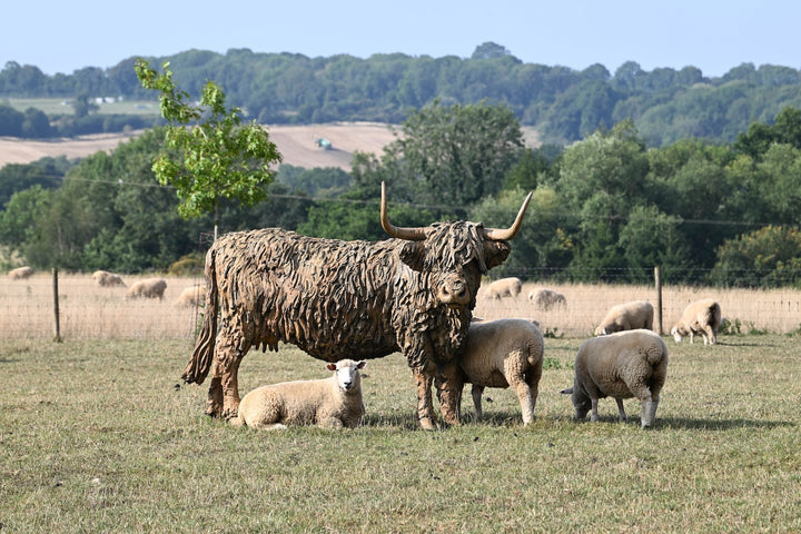 ‘Highland Cow: Life Size’ by Hamish Mackie, a life-size limited-edition bronze sculpture depicting a Scottish Highland cow standing in a grassy field. The sculpture features long, sweeping horns, a broad muzzle and a heavily textured, shaggy coat falling over the animal’s eyes. Finished in warm earthy brown bronze, the realistic wildlife sculpture captures the distinctive character and rugged appearance of the Highland breed.