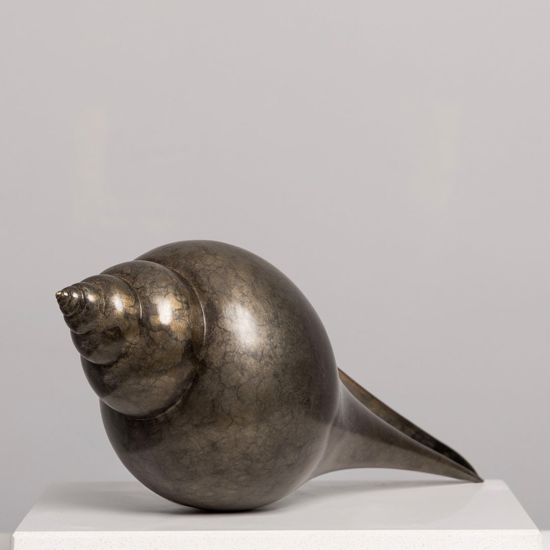 Patinated bronze Shell sculpture by James Parker, inspired by the whelk shell with a smooth spiral form shaped by coastline, memory and natural geometry.