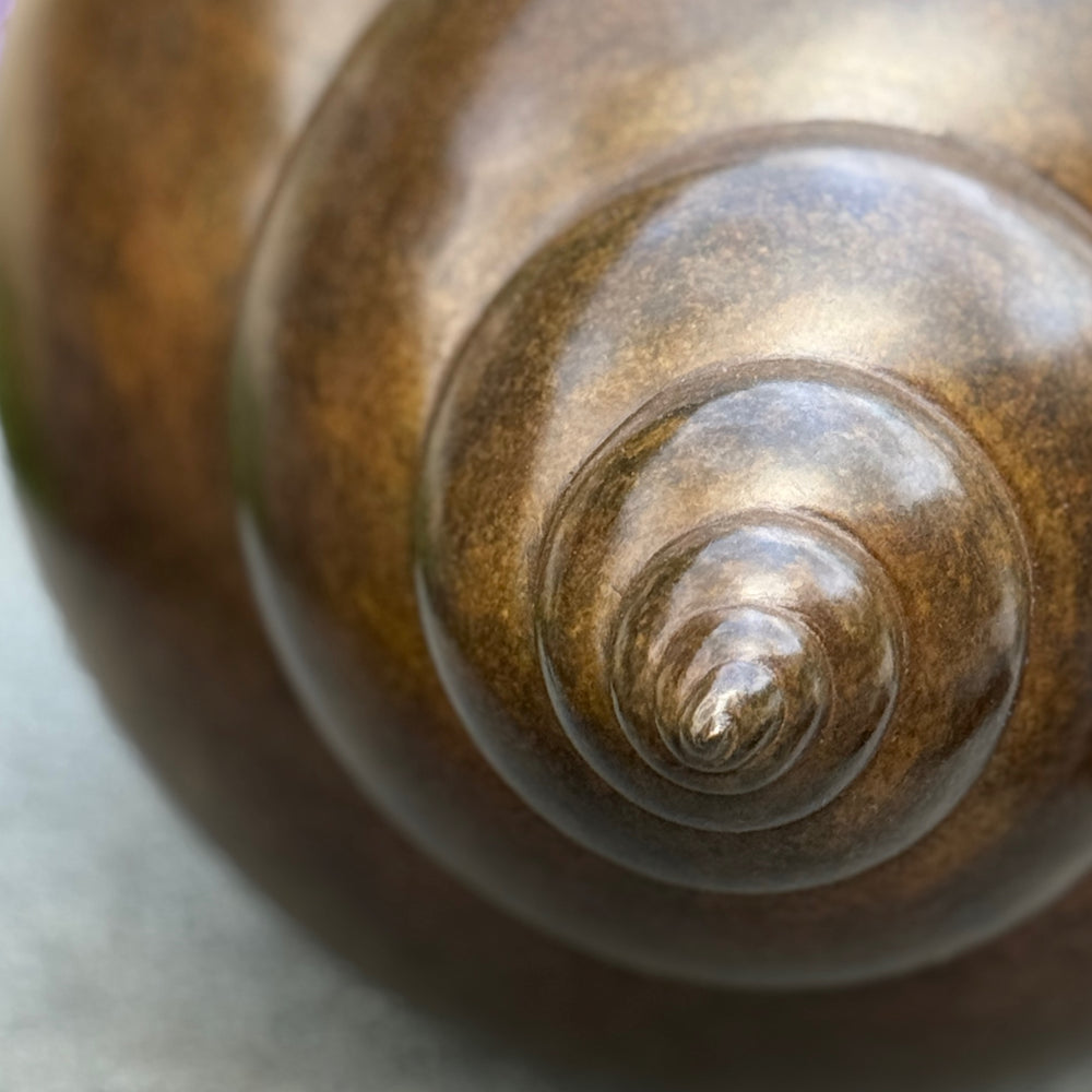 Patinated bronze Shell sculpture by James Parker, inspired by the whelk shell with a smooth spiral form shaped by coastline, memory and natural geometry.