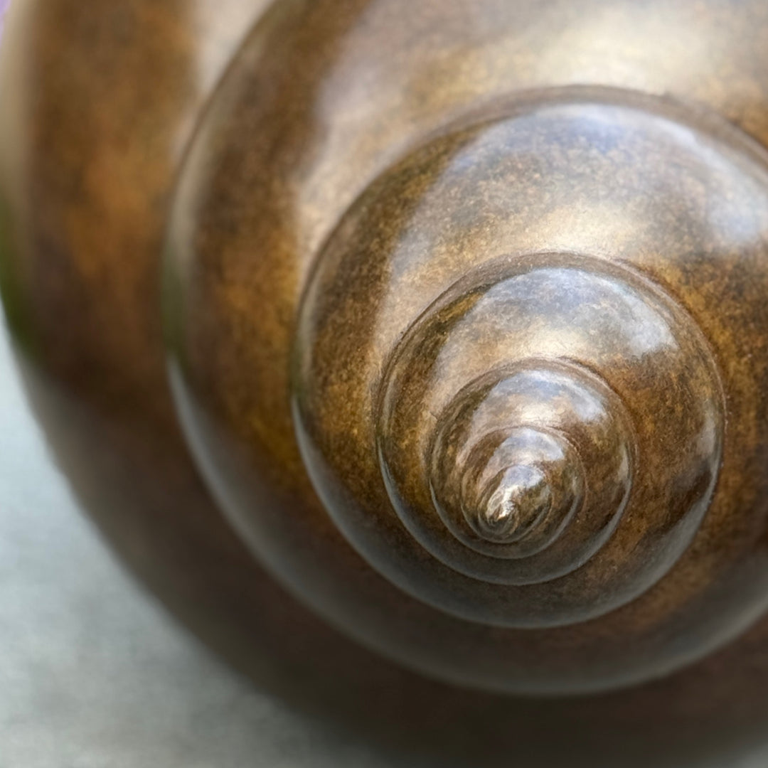 Patinated bronze Shell sculpture by James Parker, inspired by the whelk shell with a smooth spiral form shaped by coastline, memory and natural geometry.