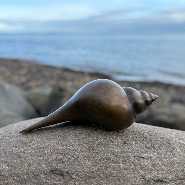 Patinated bronze Shell sculpture by James Parker, inspired by the whelk shell with a smooth spiral form shaped by coastline, memory and natural geometry.