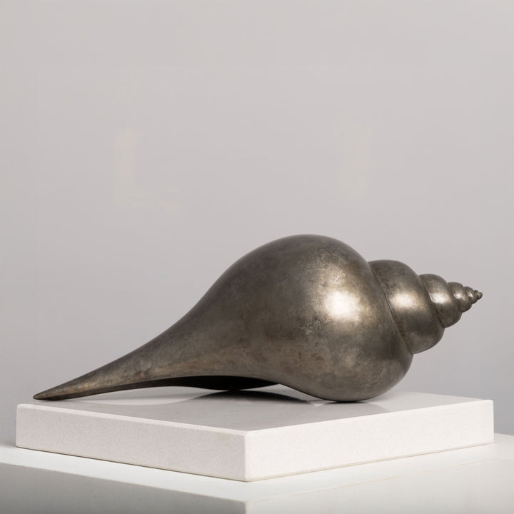 Patinated bronze Shell sculpture by James Parker, inspired by the whelk shell with a smooth spiral form shaped by coastline, memory and natural geometry.