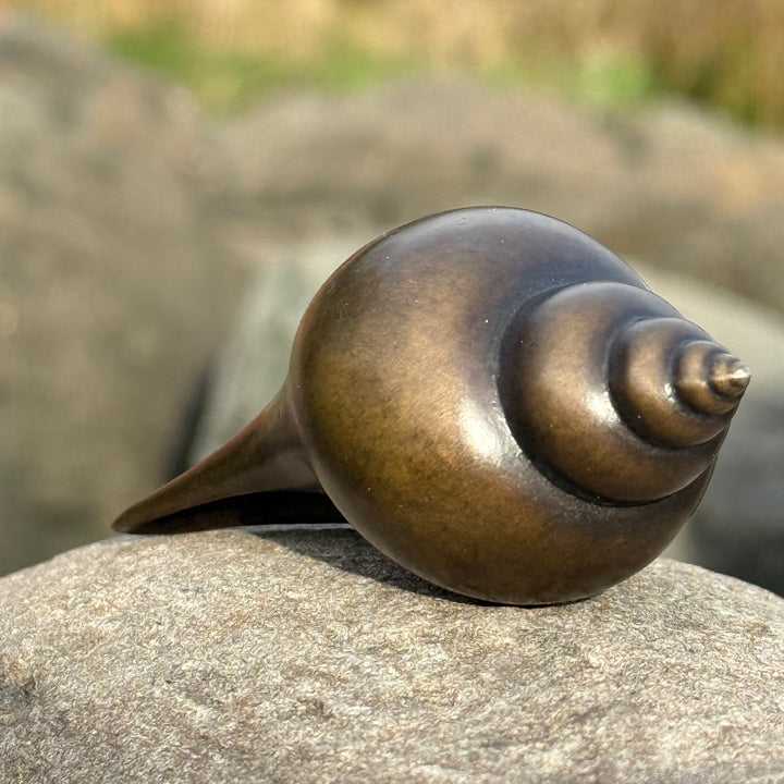 Patinated bronze Shell sculpture by James Parker, inspired by the whelk shell with a smooth spiral form shaped by coastline, memory and natural geometry.