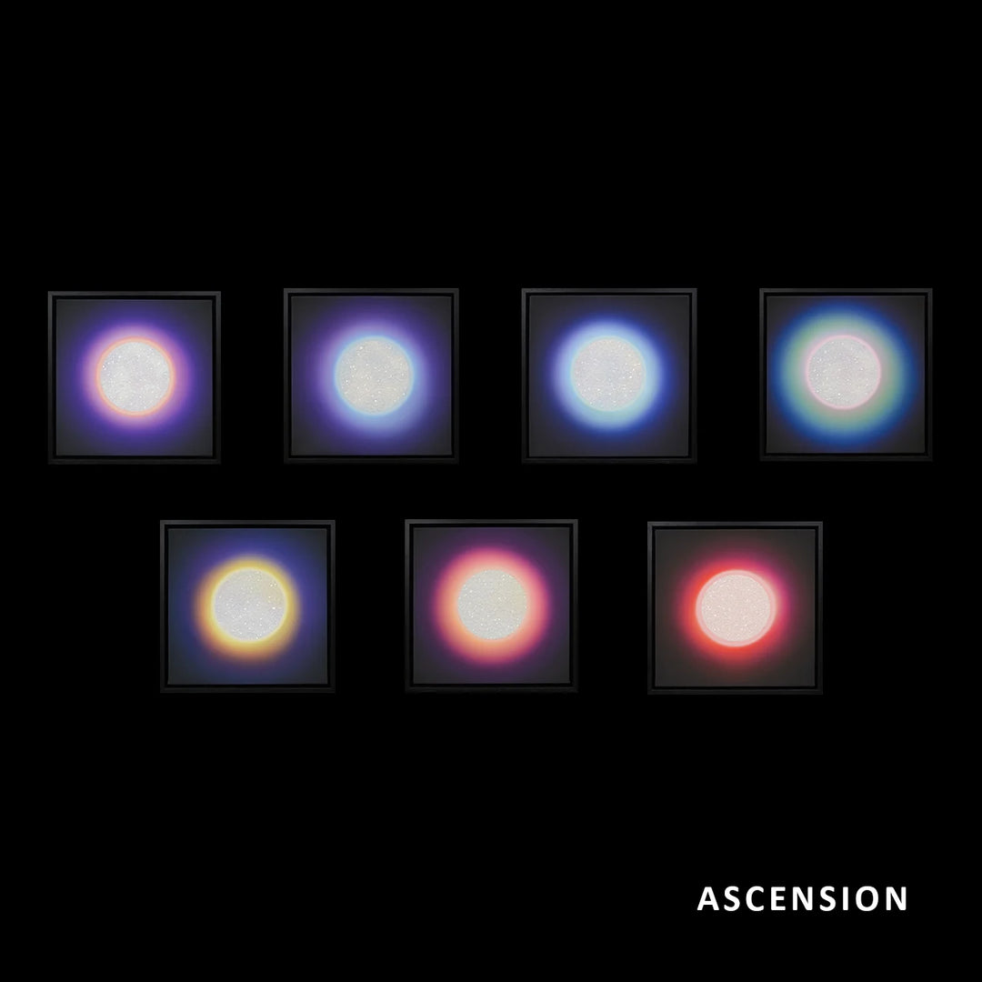 Ascension: Chakra Canvas – Full Collection of 7 by Lauren Baker, a complete chakra series of hand-made mixed media canvases, each embedded with hundreds of pieces of diamond dust and vibrant ink, representing Crown, Third-Eye, Throat, Heart, Solar Plexus, Sacrum, and Root energies.