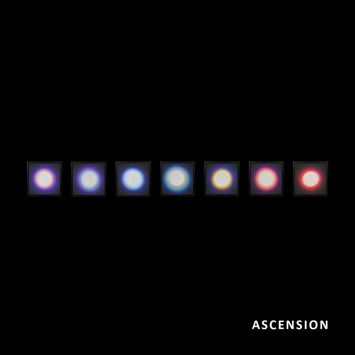 Ascension: Chakra Canvas – Full Collection of 7 by Lauren Baker, a complete chakra series of hand-made mixed media canvases, each embedded with hundreds of pieces of diamond dust and vibrant ink, representing Crown, Third-Eye, Throat, Heart, Solar Plexus, Sacrum, and Root energies.