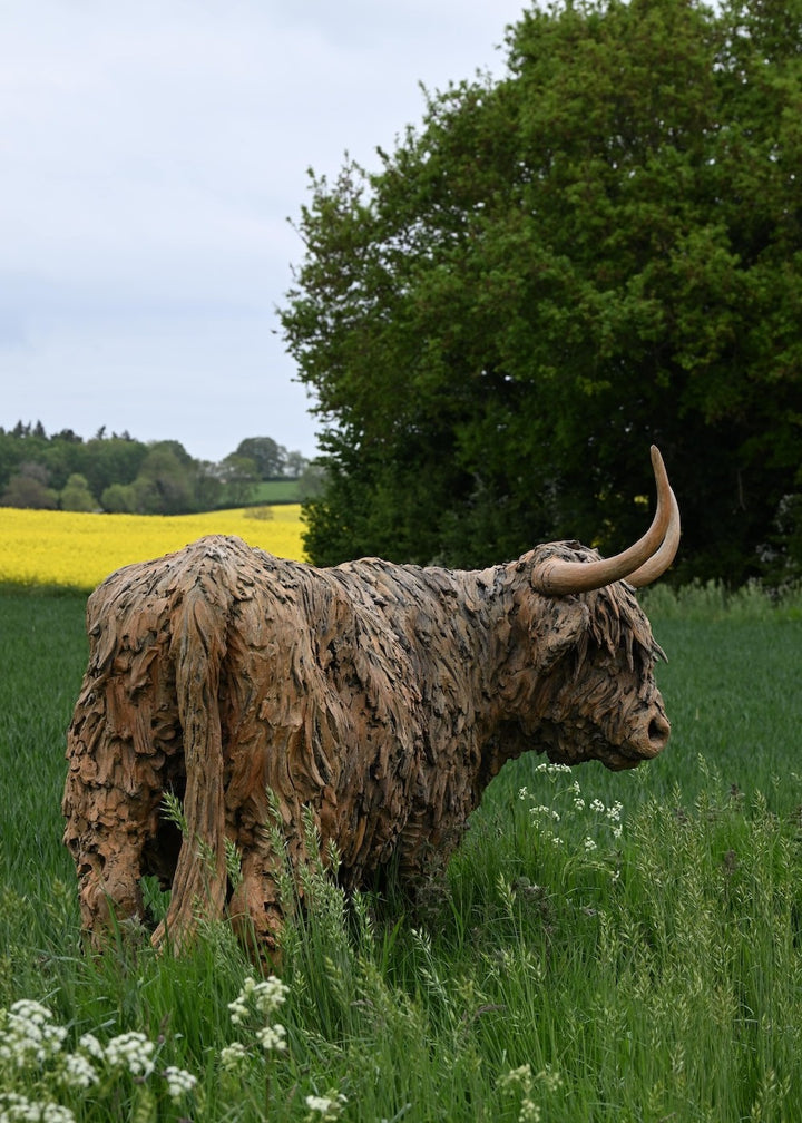 ‘Highland Cow: Life Size’ by Hamish Mackie, a life-size limited-edition bronze sculpture depicting a Scottish Highland cow standing in a grassy field. The sculpture features long, sweeping horns, a broad muzzle and a heavily textured, shaggy coat falling over the animal’s eyes. Finished in warm earthy brown bronze, the realistic wildlife sculpture captures the distinctive character and rugged appearance of the Highland breed.