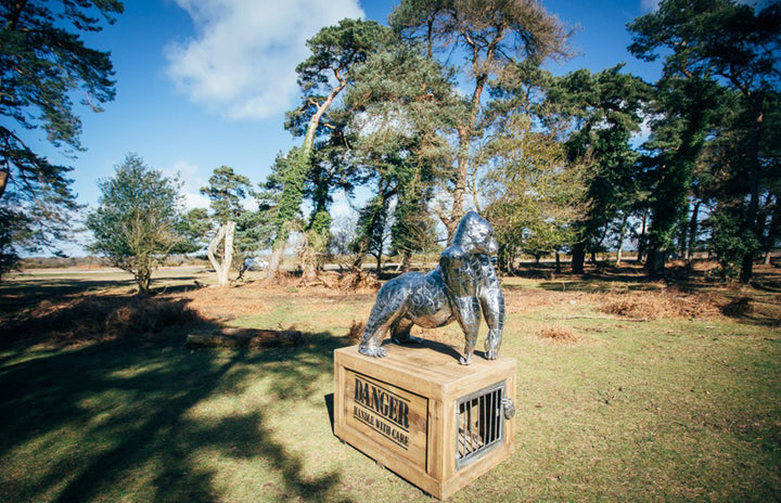 ‘Gorilla’ by Michael Turner, a unique, one-of-one stainless steel wildlife sculpture depicting a powerful silverback gorilla standing on all fours atop a large, dark wooden transport cage. Handcrafted from individually shaped and welded stainless steel panels, the sculpture features a polished silver finish, muscular shoulders, powerful limbs and intricately detailed facial features. The rustic timber cage displays bold white ‘DANGER - HANDLE WITH CARE’ lettering and a metal-barred hatch, adding humour and 