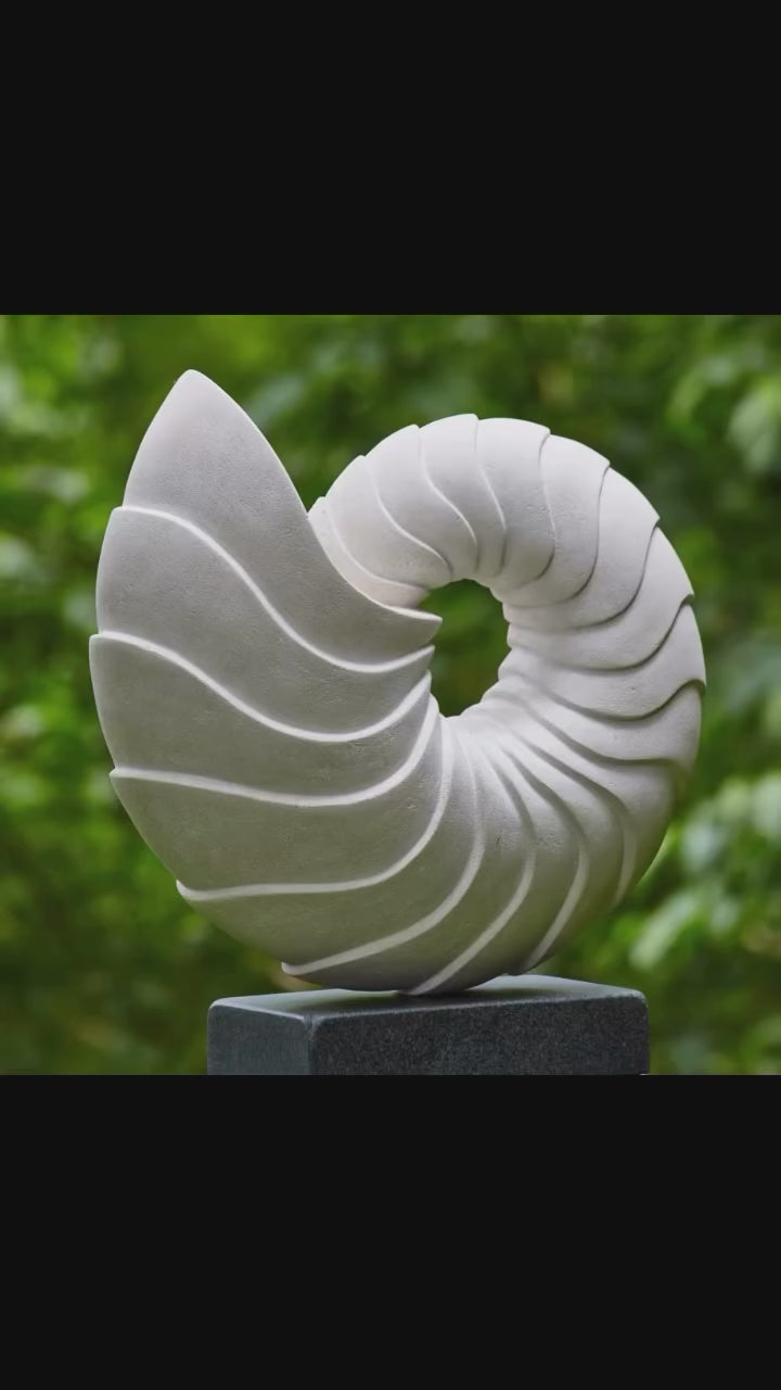NAUTILUS (One-Off)