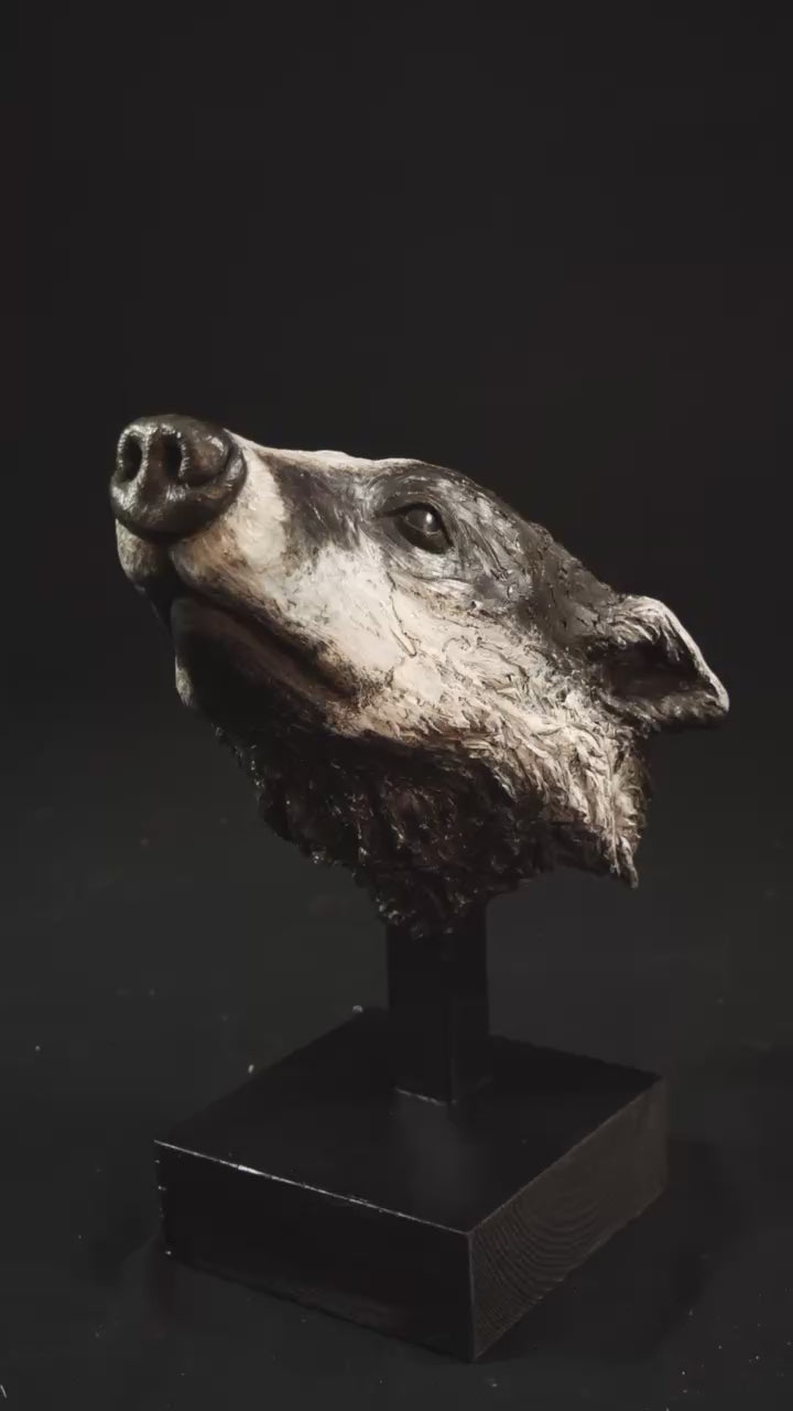 VIDEO - Cold cast slate sculpture of a badger titled Remnant by Jamie Lord — expressive woodland animal bust with textured black-and-grey fur, soft white facial markings, and an upward, reflective gaze. Limited edition of 12 with signed Certificate of Authenticity.
