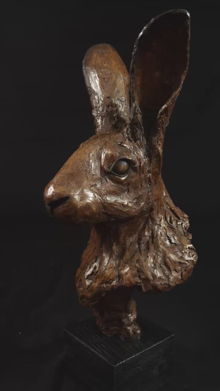 Video of Cold cast bronze sculpture of a hare titled Aurora by Jamie Lord — finely detailed woodland animal bust with upright alert ears, rich earthy bronze surface and textured fur. Limited edition of 12 (also available in cast marble), signed and certified.