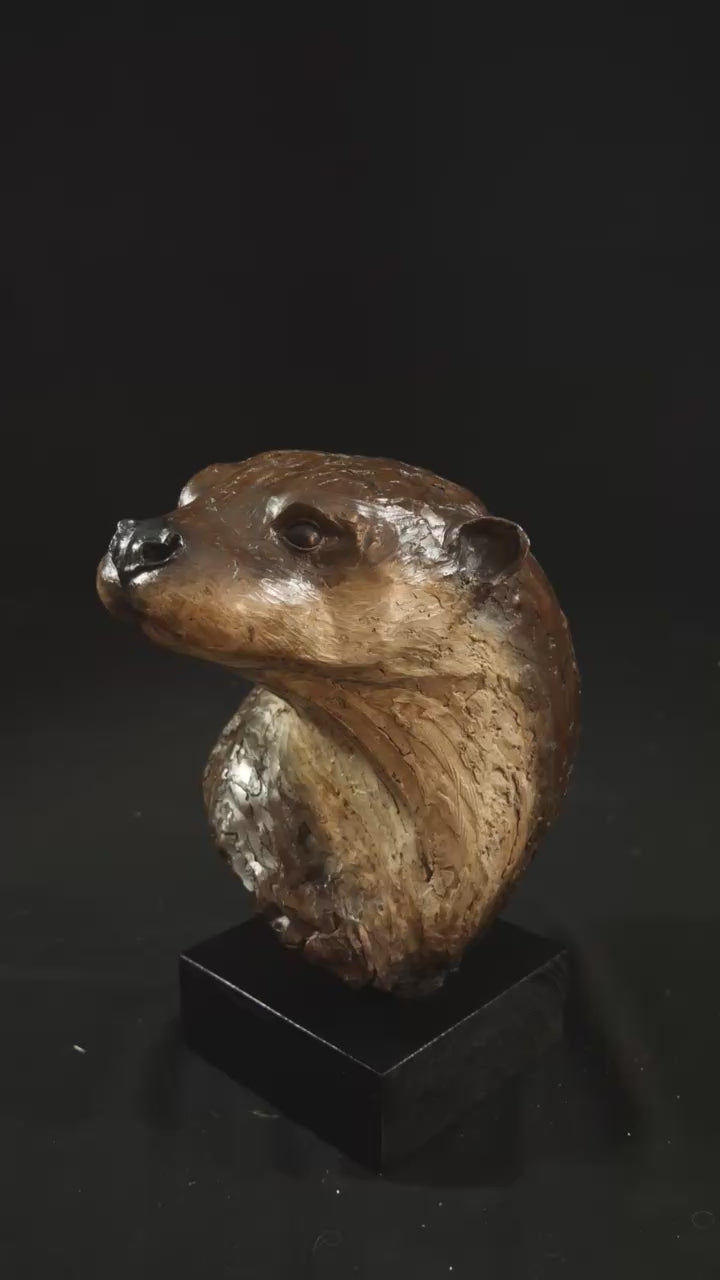 Cold cast stone sculpture of an otter head and neck titled Hindsight by Jamie Lord — finely detailed bust with sleek, sinuous form, warm brown fur tones, dark glassy eyes and alert, turned-back pose. Limited edition of 24 with signed Certificate of Authenticity.