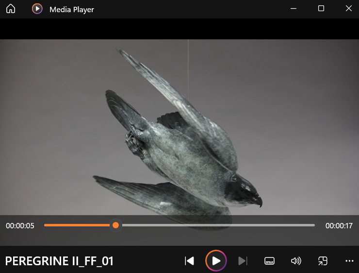 Nick Bibby PEREGRINE II – Flying Free, life size bronze sculpture of a peregrine falcon in flight, suspended by fine stainless steel wire, showing detailed wings and aerodynamic form in dark patinated bronze.