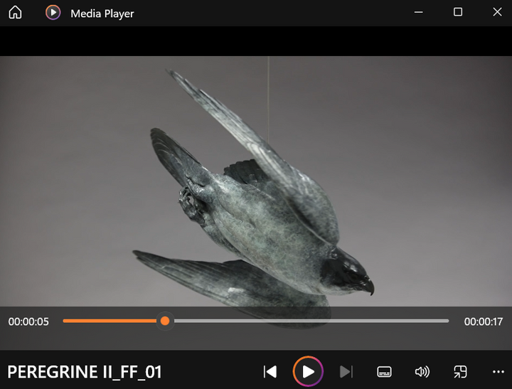 Nick Bibby PEREGRINE II – Flying Free, life size bronze sculpture of a peregrine falcon in flight, suspended by fine stainless steel wire, showing detailed wings and aerodynamic form in dark patinated bronze.
