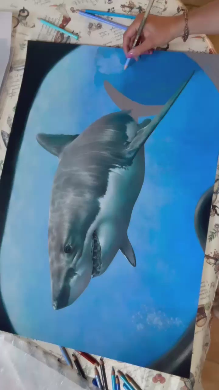 Great White, an original coloured pencil artwork on dark grey Pastelmat board, depicting a hyperrealistic great white shark seen through the curved lens of a diver’s mask, with vivid blue ocean depth, light reflections, and lifelike detailing.