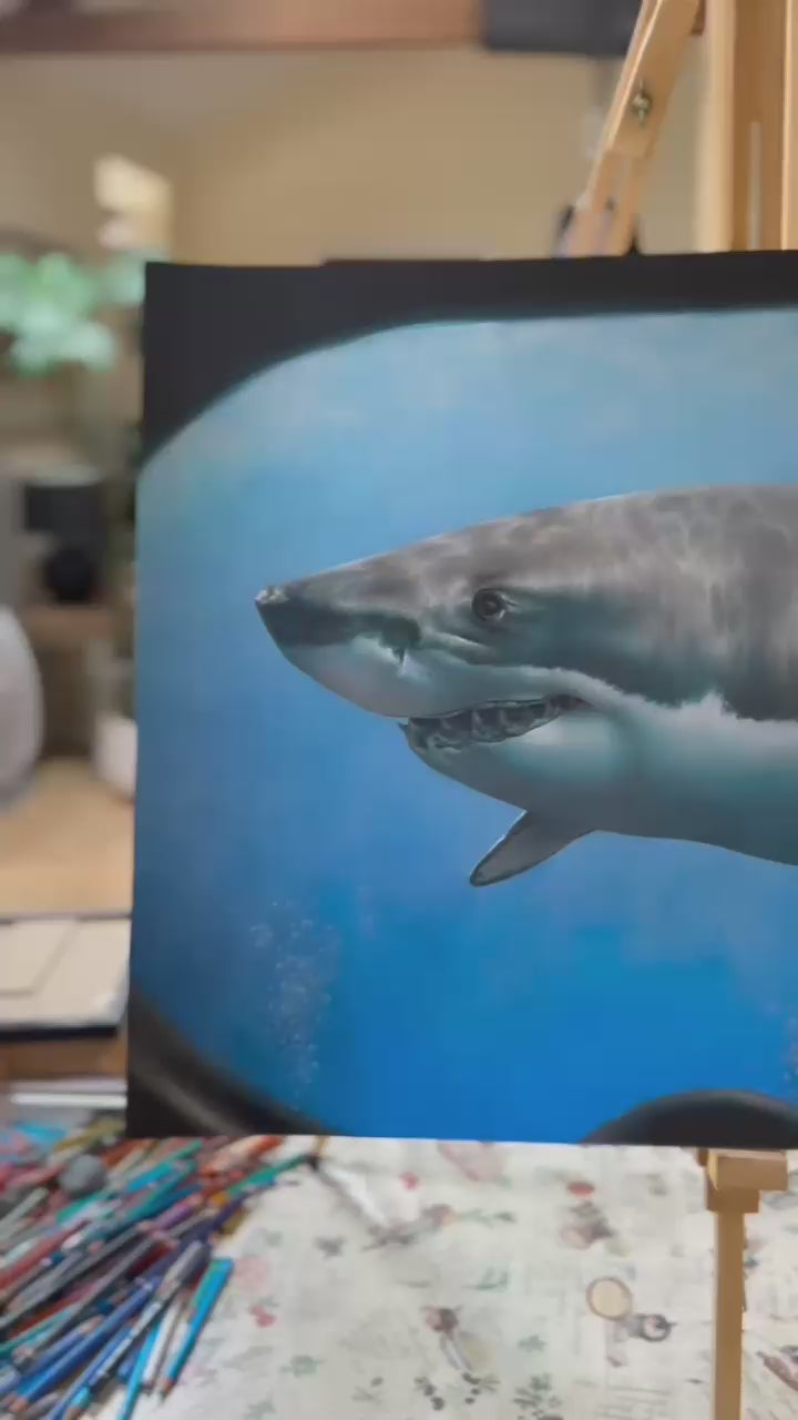 Great White, an original coloured pencil artwork on dark grey Pastelmat board, depicting a hyperrealistic great white shark seen through the curved lens of a diver’s mask, with vivid blue ocean depth, light reflections, and lifelike detailing.