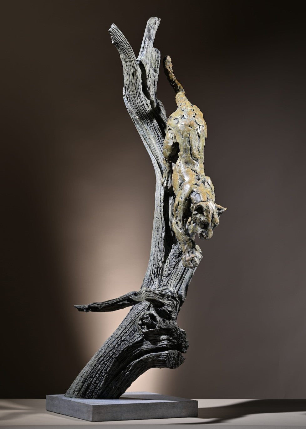 ‘Leopard Climbing Down a Tree’ by Hamish Mackie, a limited-edition bronze wildlife sculpture depicting an African leopard descending headfirst down a tall, weathered tree trunk. The leopard's muscular body, extended forelegs and curved tail capture the animal's extraordinary agility and balance. Finished in natural earthy bronze tones, the sculpture features a highly textured tree trunk mounted on a rectangular Purbeck limestone base, inspired by the artist's wildlife observations in the Serengeti.