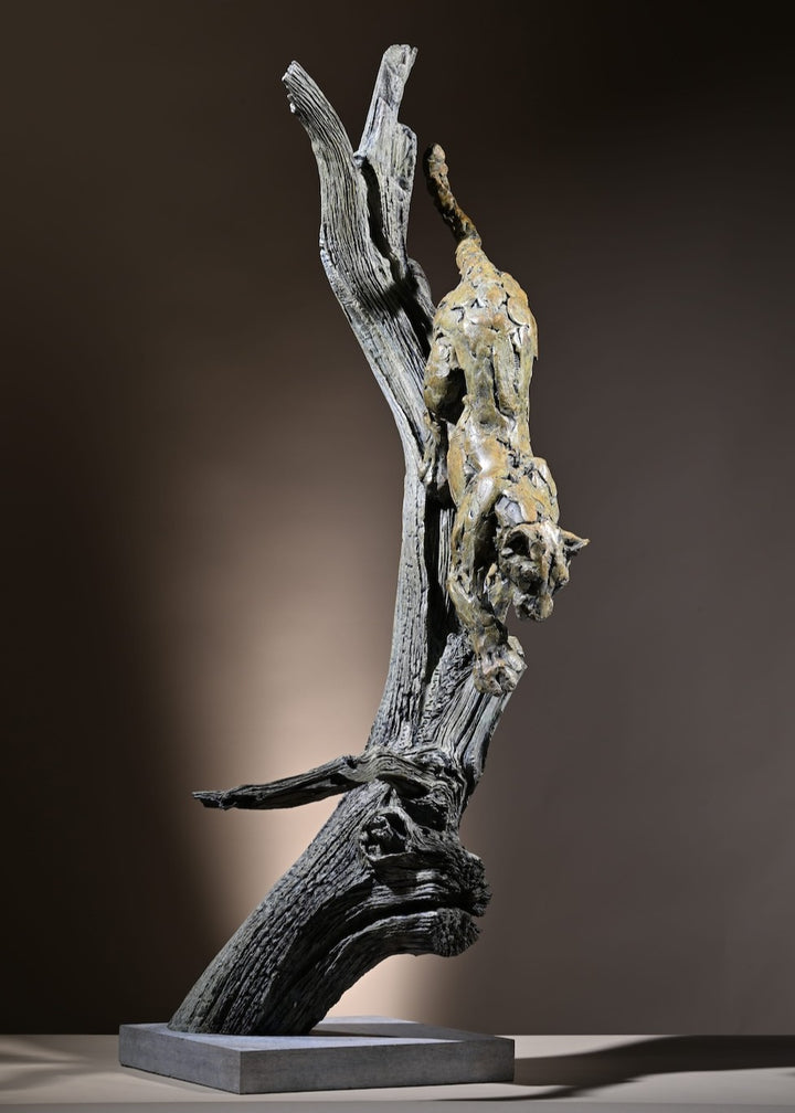 ‘Leopard Climbing Down a Tree’ by Hamish Mackie, a limited-edition bronze wildlife sculpture depicting an African leopard descending headfirst down a tall, weathered tree trunk. The leopard's muscular body, extended forelegs and curved tail capture the animal's extraordinary agility and balance. Finished in natural earthy bronze tones, the sculpture features a highly textured tree trunk mounted on a rectangular Purbeck limestone base, inspired by the artist's wildlife observations in the Serengeti.