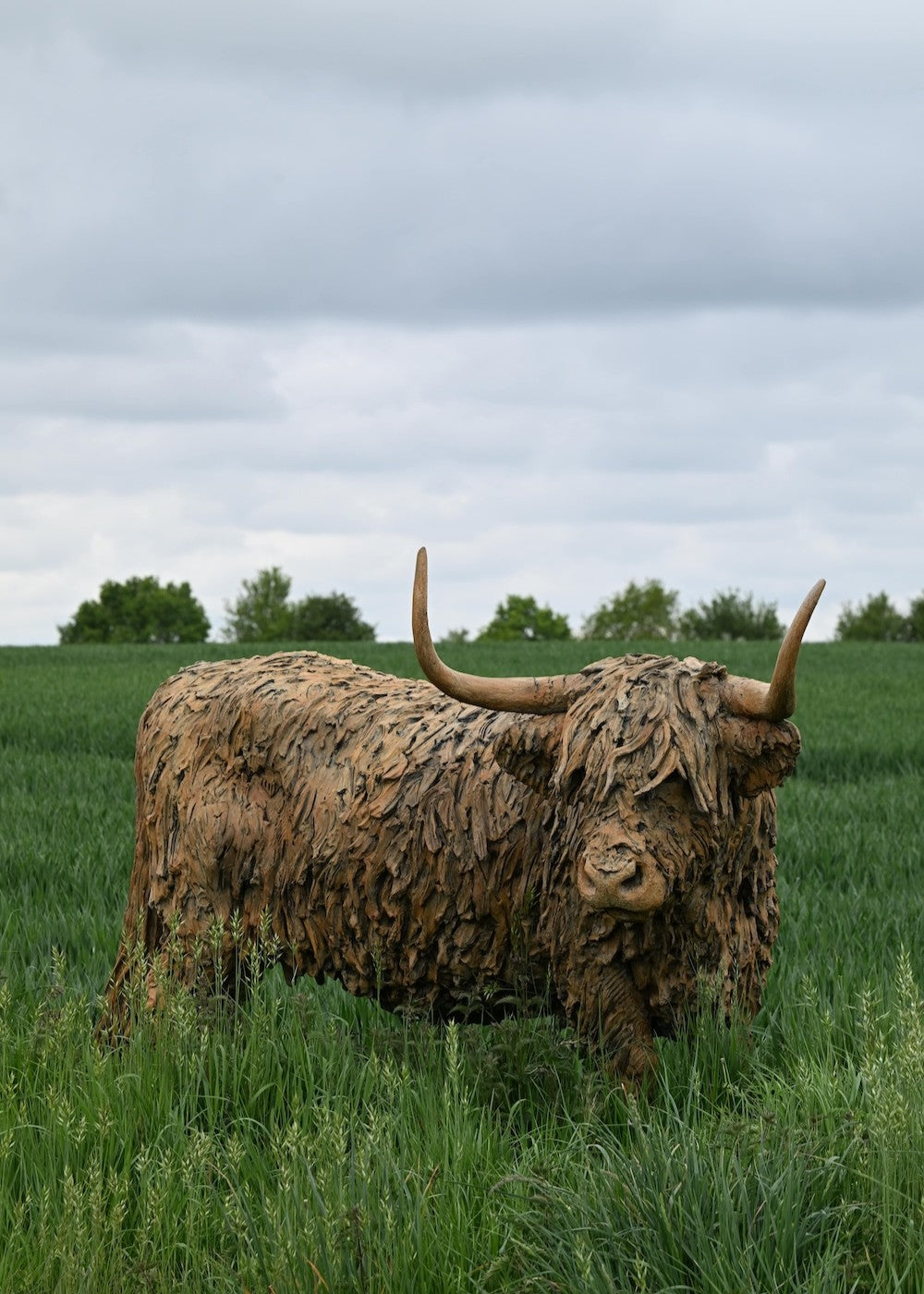 ‘Highland Cow: Life Size’ by Hamish Mackie, a life-size limited-edition bronze sculpture depicting a Scottish Highland cow standing in a grassy field. The sculpture features long, sweeping horns, a broad muzzle and a heavily textured, shaggy coat falling over the animal’s eyes. Finished in warm earthy brown bronze, the realistic wildlife sculpture captures the distinctive character and rugged appearance of the Highland breed.