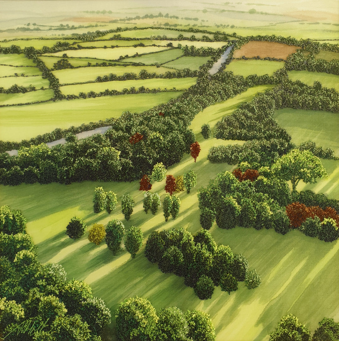 Aerial embroidery of sunlit patchwork fields and hedgerows with clusters of green and rust-coloured trees casting long shadows.