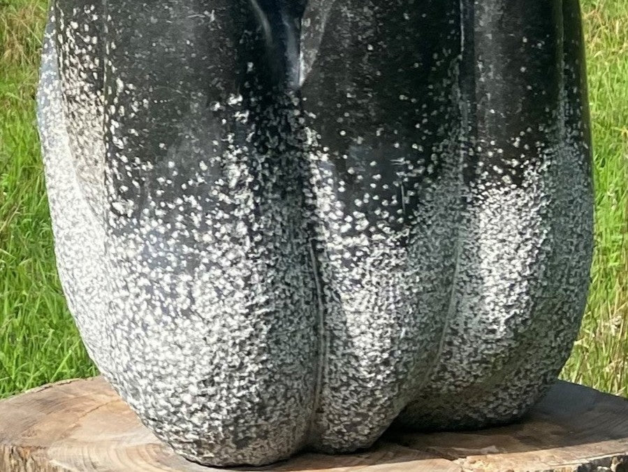 Tentacle by Brendan Cullen, a hand-carved Kilkenny fossilised limestone sculpture with smooth, flame-like tendrils rising upward from a rounded base, transitioning from pale speckled grey to deep polished black, suggestive of organic growth or movement frozen in stone.